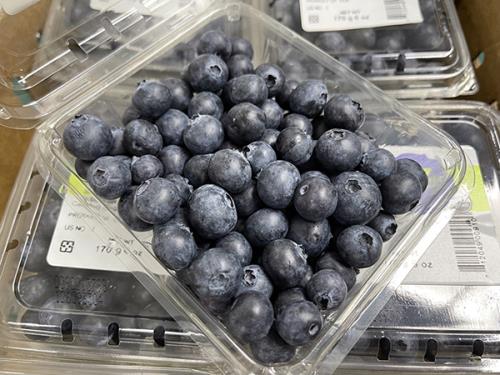 新鮮直送─美國有機藍莓(6盒/箱)